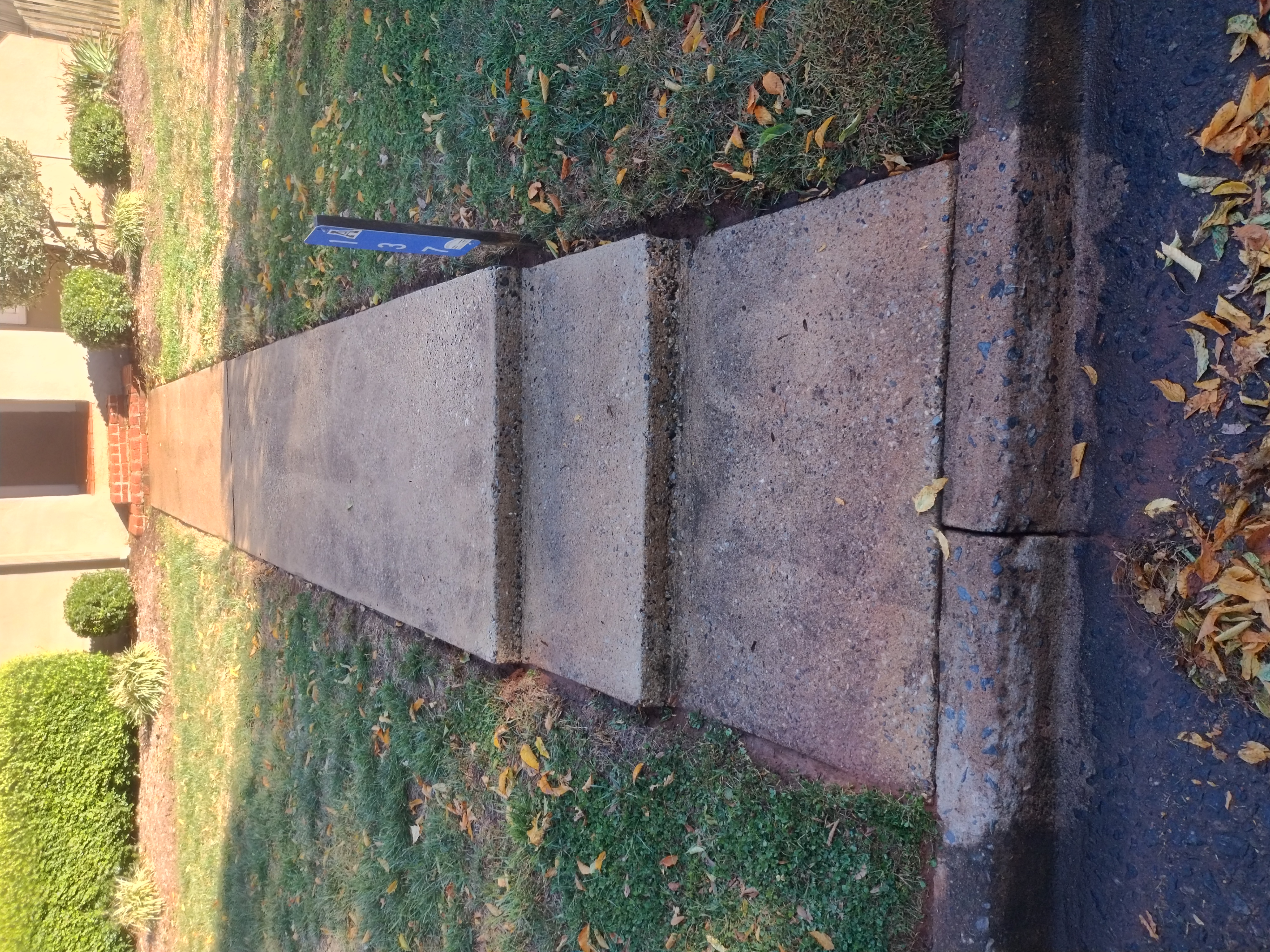 Clean Concrete Driveway